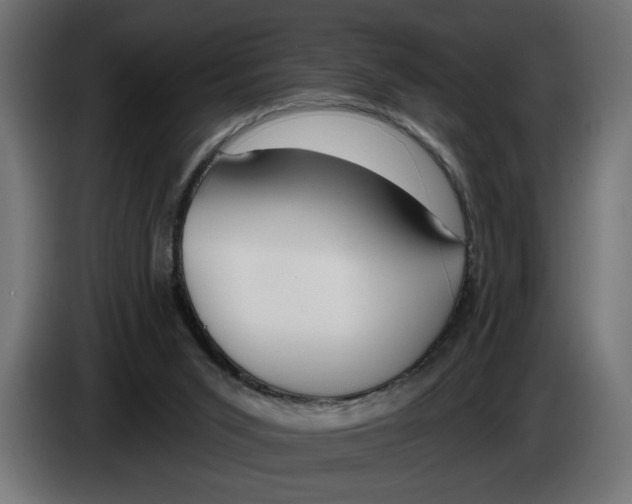 X0000083070015200703022207