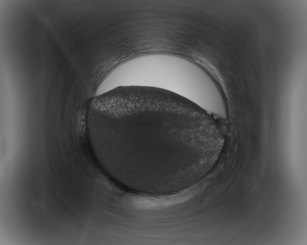 X0000083070017200703022207