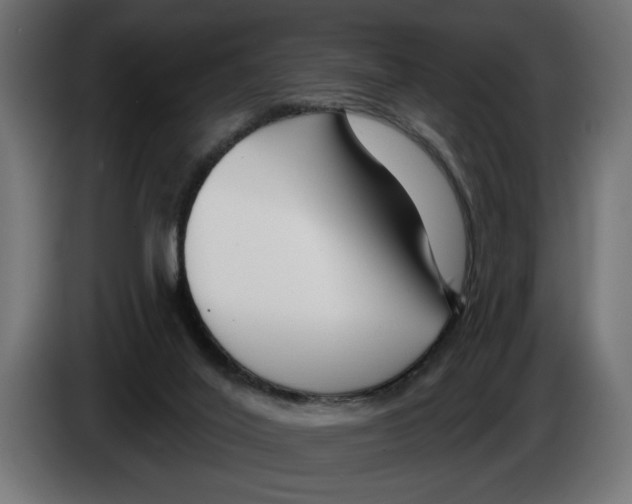 X0000083070020200703022207