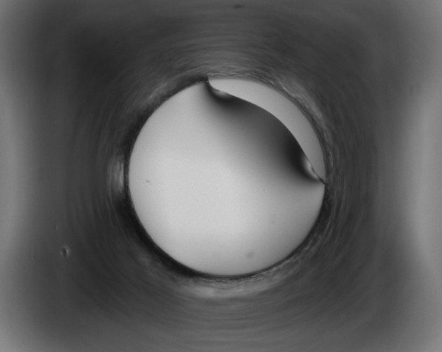 X0000083070021200703022207