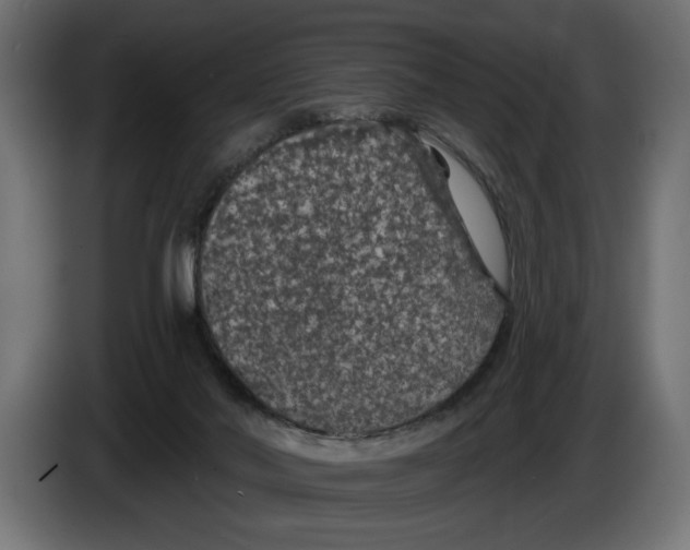 X0000083070022200703022207