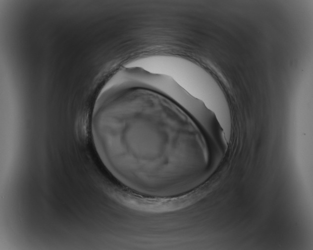 X0000083070023200703022207