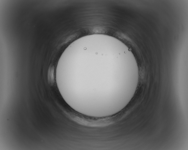 X0000083070028200703022207