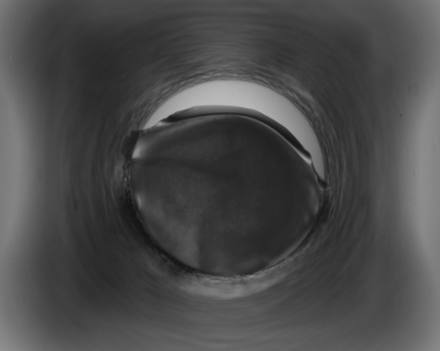 X0000083070029200703022207