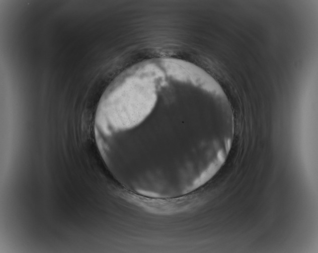 X0000083070030200703022207