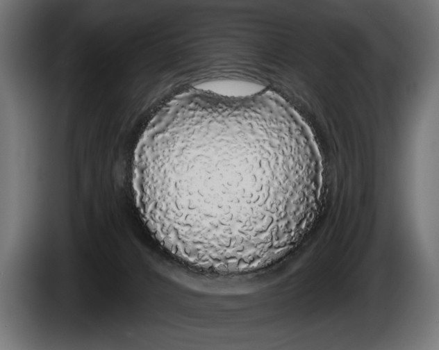 X0000083070032200703022207