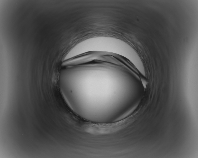 X0000083070033200703022207