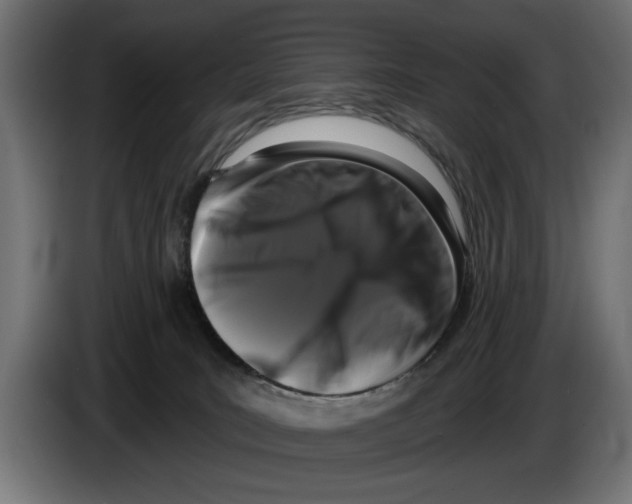 X0000083070035200703022207