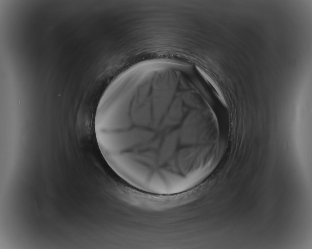 X0000083070039200703022207