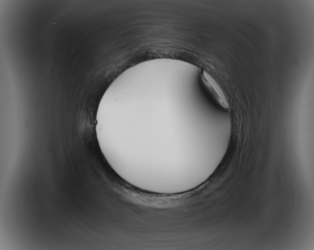 X0000083070040200703022207