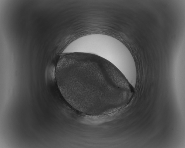 X0000083070041200703022207