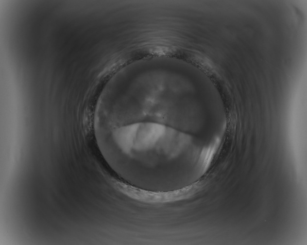 X0000083070043200703022207