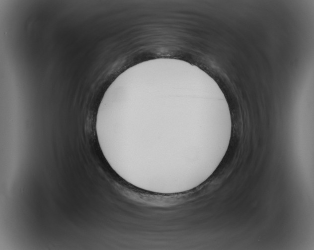 X0000083070044200703022207