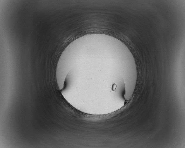 X0000083070045200703022207