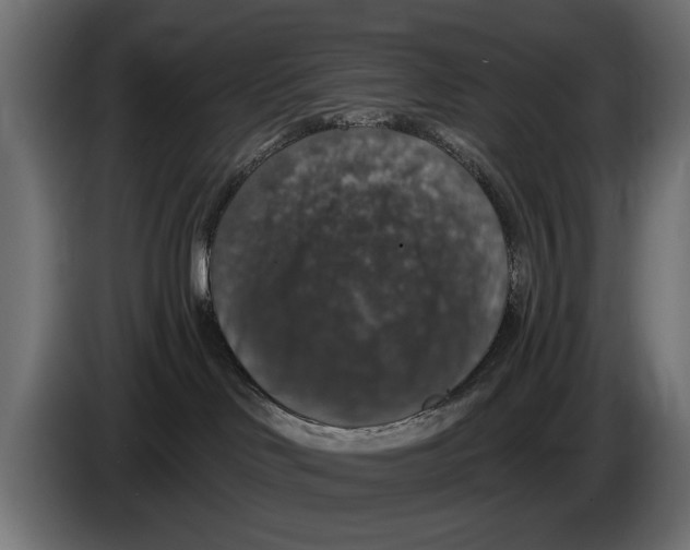 X0000083070046200703022207