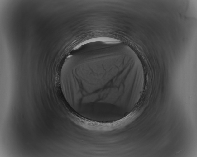 X0000083070048200703022207