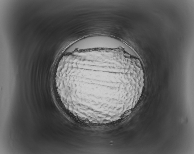 X0000083070049200703022206