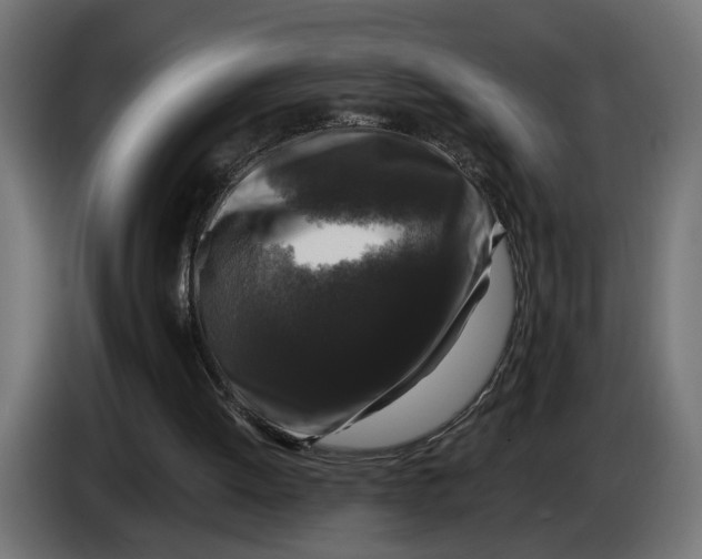 X0000083070052200703022206