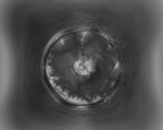 X0000083070053200703022206