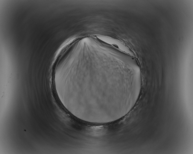 X0000083070054200703022206