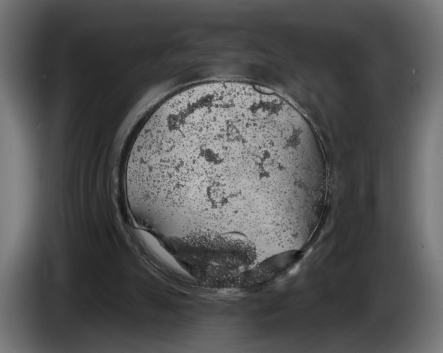 X0000083070055200703022206