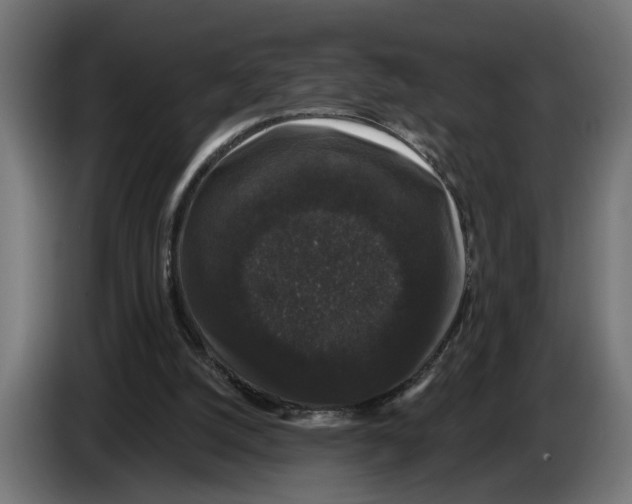 X0000083070056200703022206