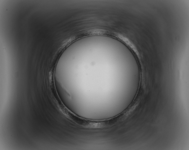 X0000083070057200703022206