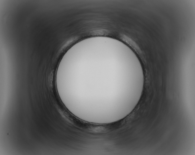 X0000083070058200703022206