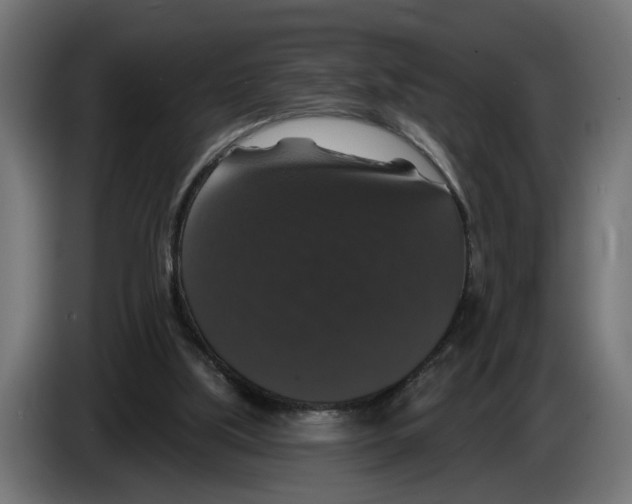 X0000083070059200703022206