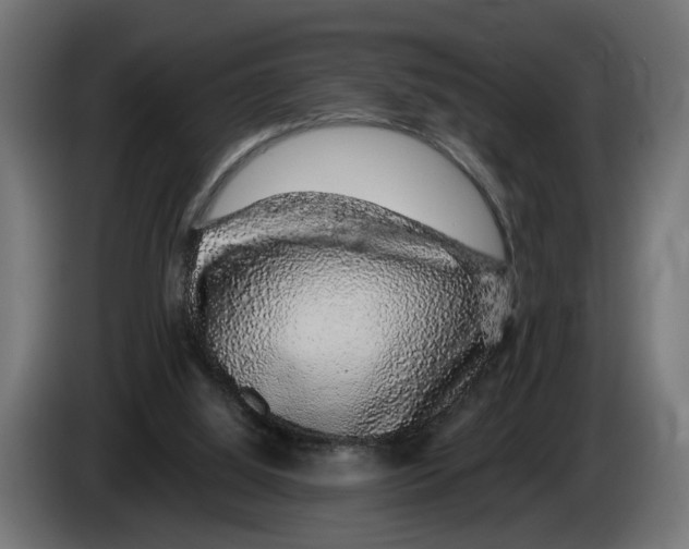 X0000083070060200703022206