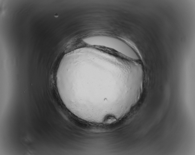 X0000083070061200703022206