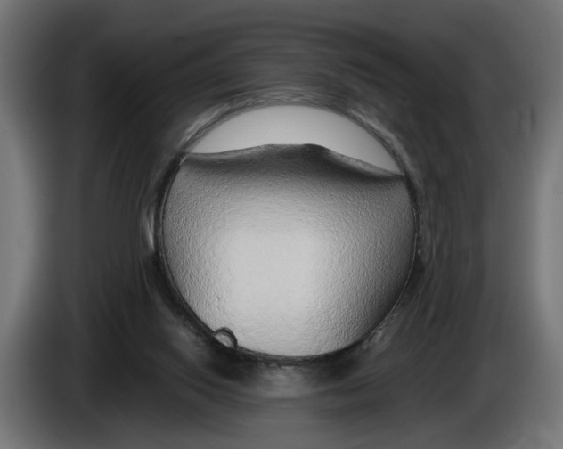 X0000083070062200703022206