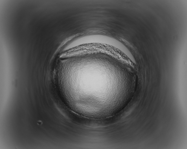 X0000083070064200703022206