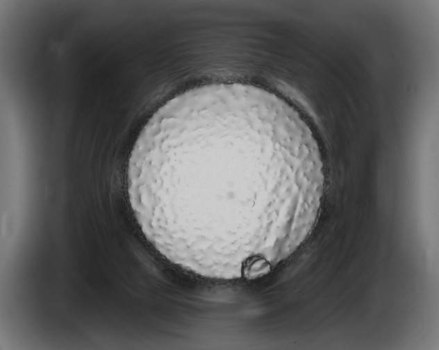 X0000083070065200703022206