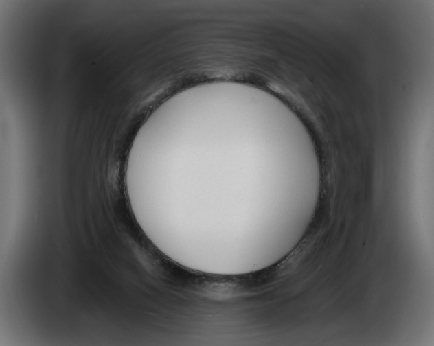 X0000083070066200703022206