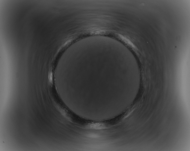 X0000083070067200703022206