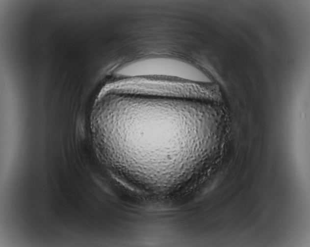 X0000083070068200703022206