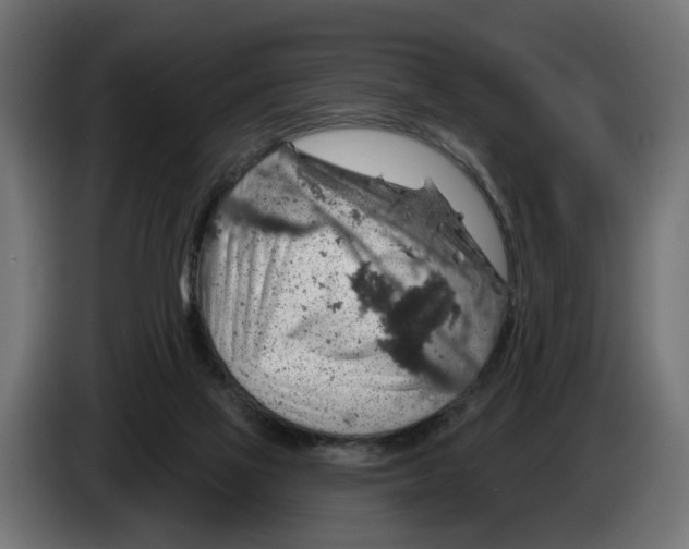 X0000083070069200703022206