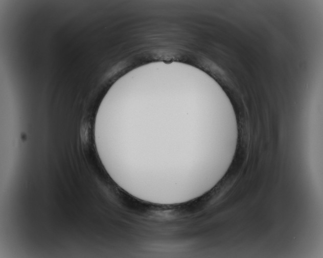 X0000083070071200703022206