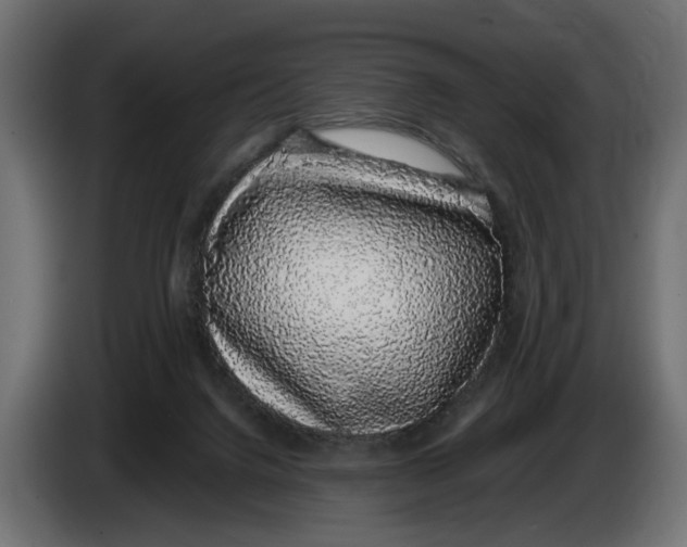 X0000083070072200703022206