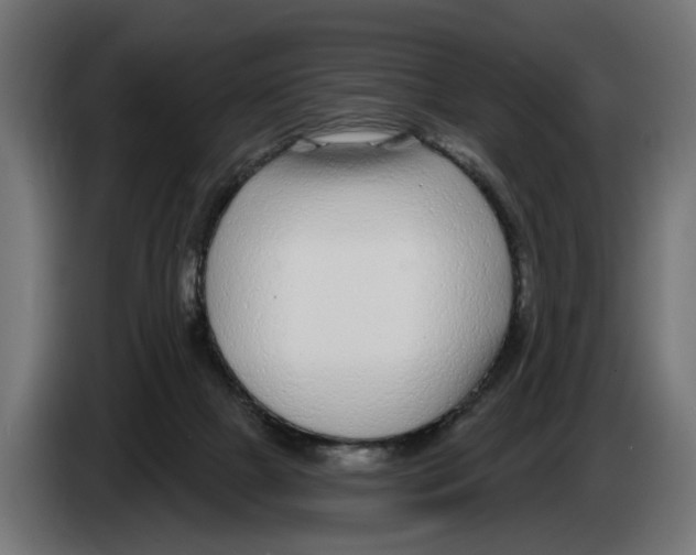 X0000083070073200703022206