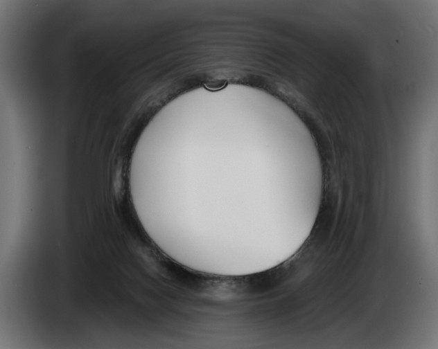 X0000083070074200703022206