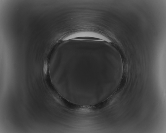 X0000083070076200703022206