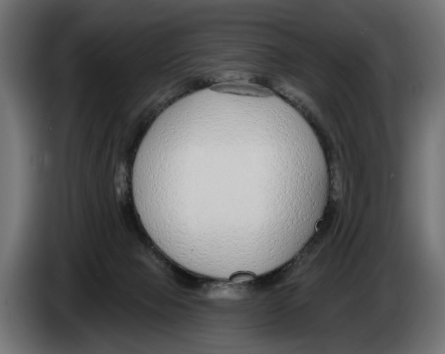 X0000083070077200703022206