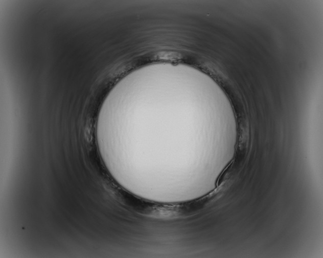 X0000083070078200703022206