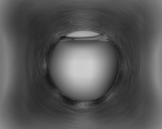 X0000083070084200703022207