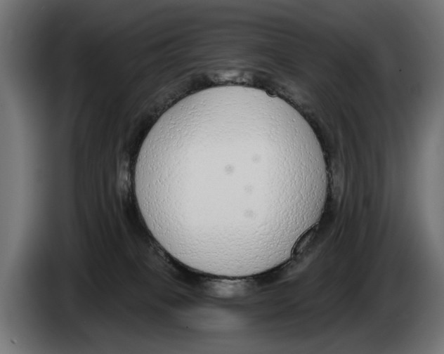 X0000083070085200703022207