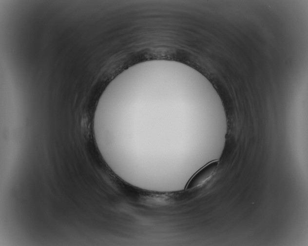 X0000083070086200703022207