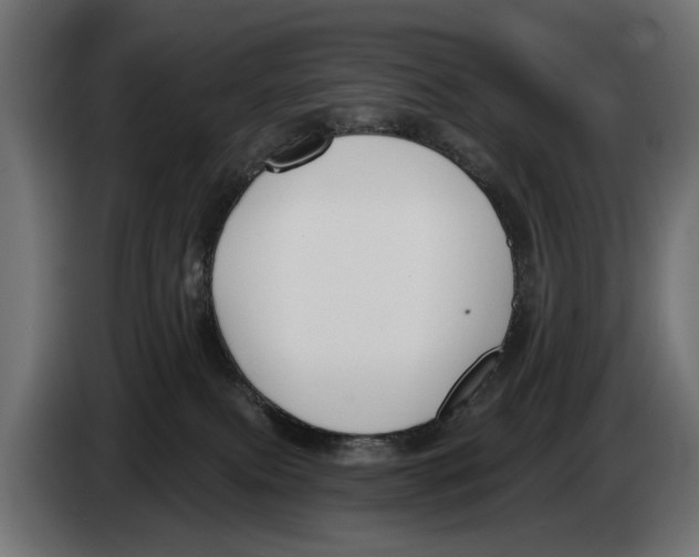 X0000083070087200703022207