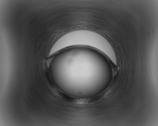 X0000083070088200703022207